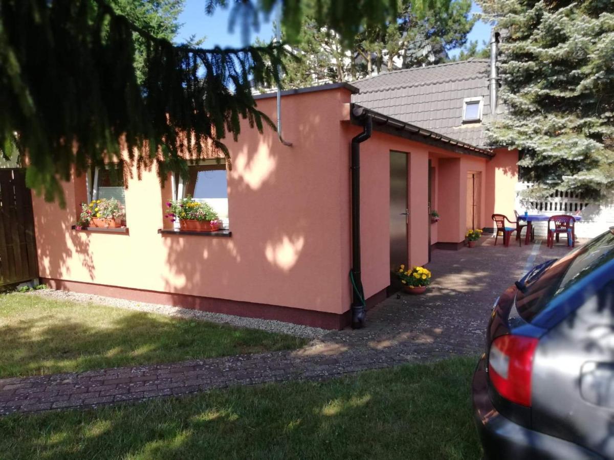 Homestay Mateusz Rewal