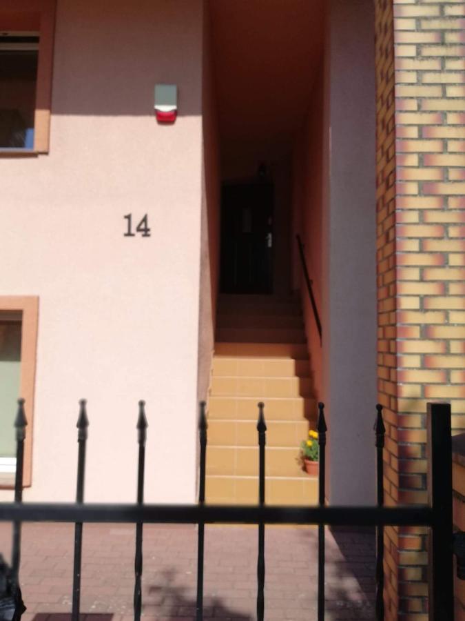 Homestay Mateusz *